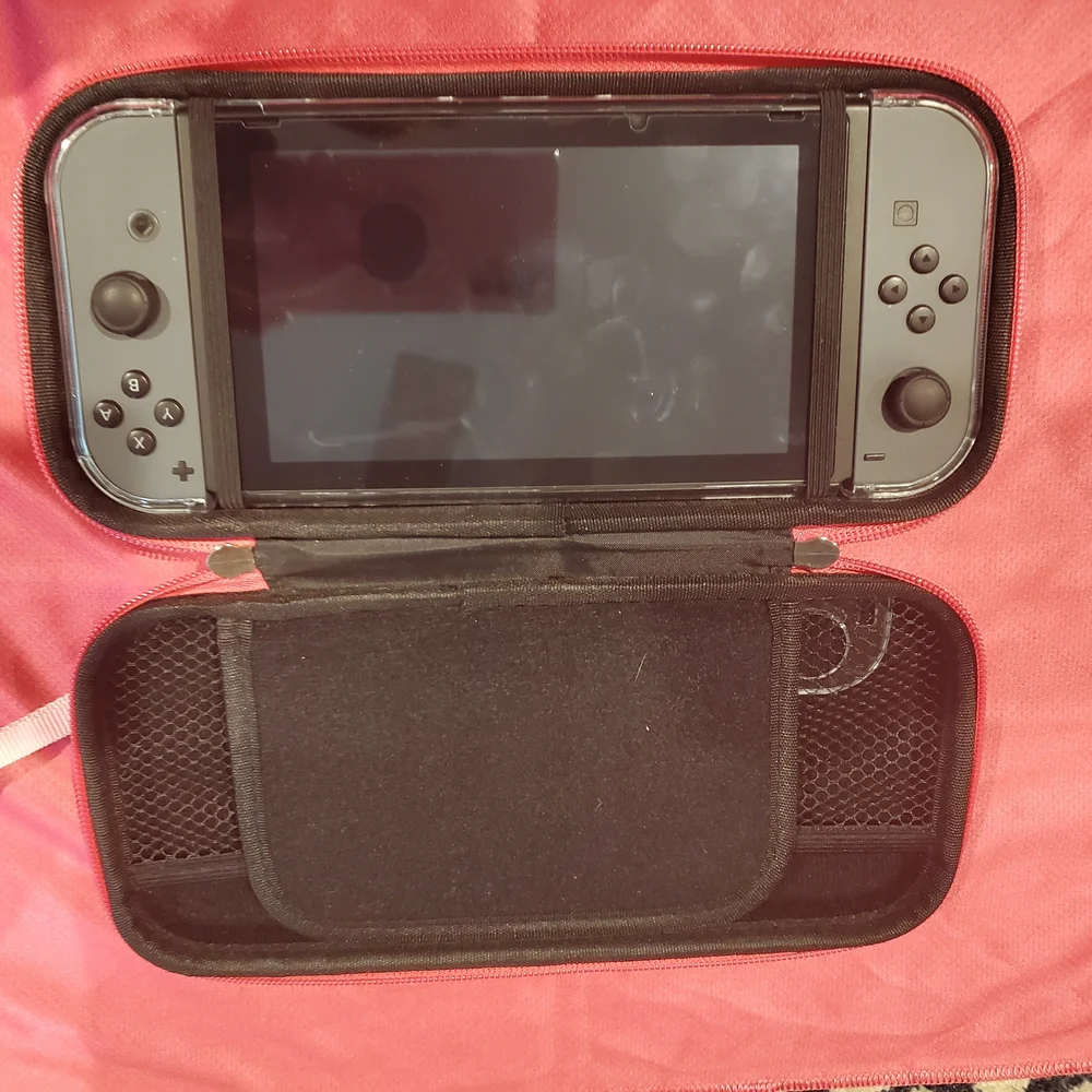 Nintendo portable gaming